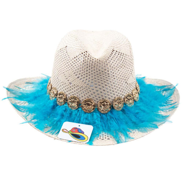 Plumas Azul Claro